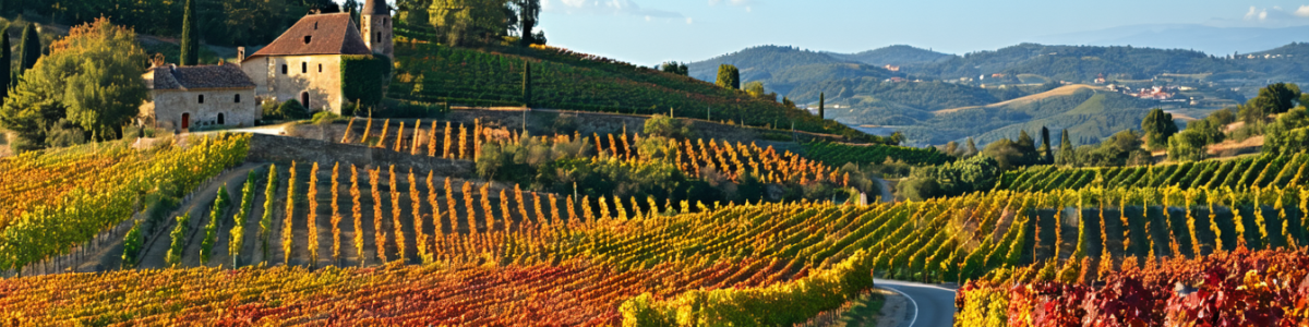 route des vins